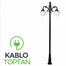 Zerpa 25'lik Yapraklı Glop Armatür 2'li Üst Direk (2.40 mt) Z2957