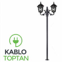 Zerpa Alüminyum Küçük Sivri Armatür İkili Direk Z9607