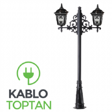 Zerpa Alüminyum Küçük Sivri Armatür İkili Direk Z9608