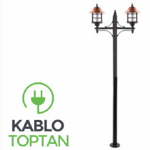 Zerpa Döküm Anadolu Armatür İkili Direk Z10200 (2.50 mt)