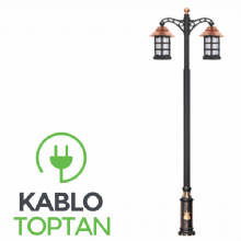 Zerpa Döküm Anadolu Armatür İkili Direk Z10203 (4.00 mt)