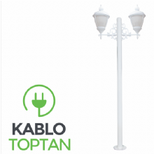 Zerpa Döküm Desenli Kapak Taçlı İkili Direk Z10757