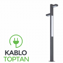 Zerpa Ledli Dekoratif Alüminyum Armatür Direk Z12802 (300 cm)