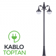 Zerpa Milenyum Armatür 2'li Üst Direk Z3077