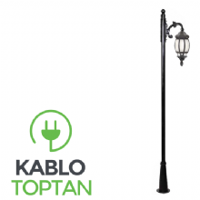 Zerpa Sekizgen Armatür Tekli Yandan Direk (2.40 mt) Z3015