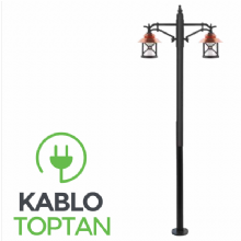 Zerpa Sıvamalı Alüminyum Rumeli Armatür İkili Direk Z10100 (2.50 mt)