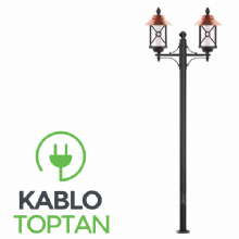 Zerpa Sıvamalı Alüminyum Rumeli Armatür İkili Direk Z10105 (4.50 mt)